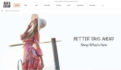 米国のオンラインアパレル小売業者、Blue & Cream (B&C) の公式サイト