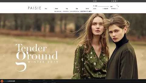 イギリスのファストファッション女性服ブランドのウェブサイト「Paisie」